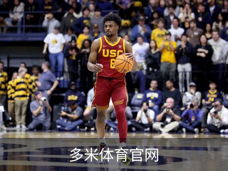 多米体育官网简介